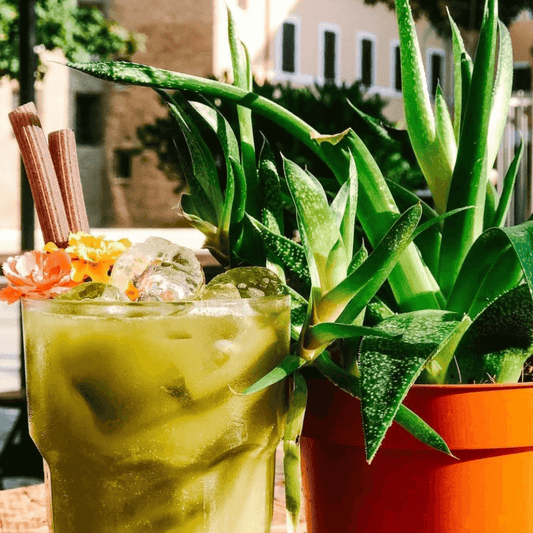 Canù razgradljive slamice canu